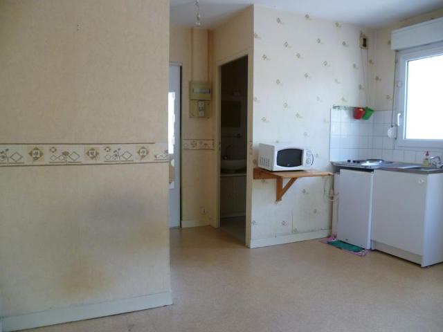 Appartement 1 pièce, 16 m² à louer à Nantes 44000