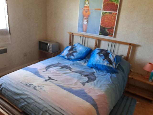 Appartement 1 pièce, 16 m² à louer à Beauzelle 31700