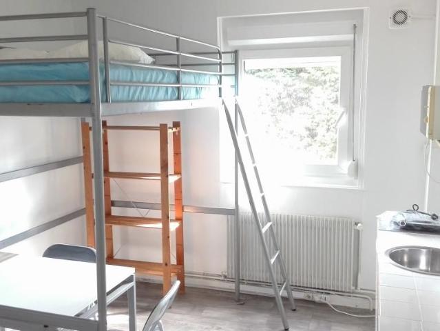 Appartement 1 pièce, 16 m² à louer à Lille 59000