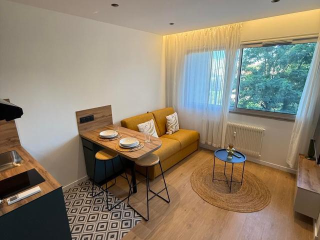 Appartement 1 pièce, 17 m² à louer à Villeurbanne 69100