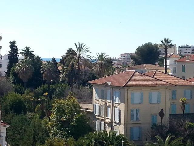 Appartement 1 pièce, 18 m² à louer à Cannes 06150
