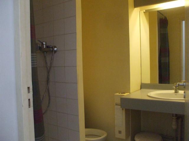 Appartement 1 pièce, 18 m² à louer à Lyon 7 69007
