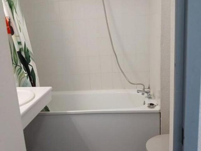 Appartement 1 pièce, 18 m² à louer à Lyon 7 69007