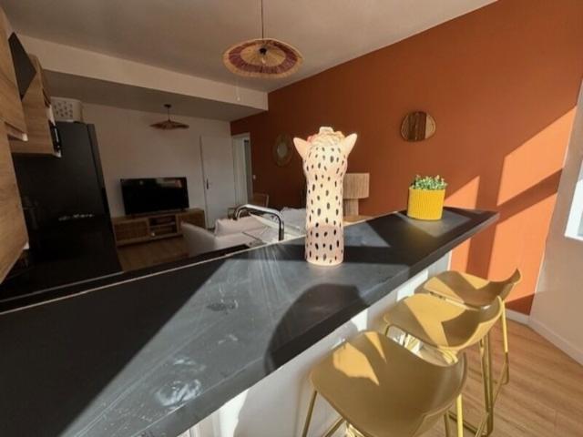 Appartement 1 pièce, 18 m² à louer à Lille 59800