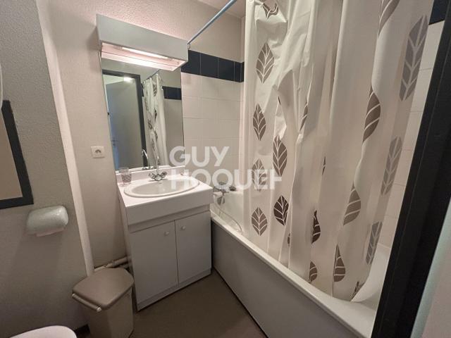 Appartement 1 pièce, 18 m² à louer à Villeurbanne 69100