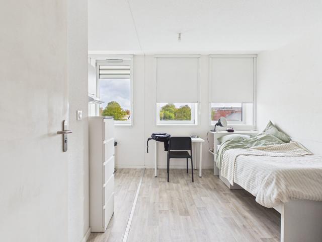 Appartement 1 pièce 19 m²
