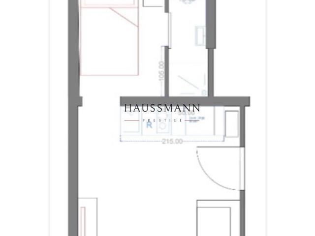 Appartement 1 pièce 19 m²
