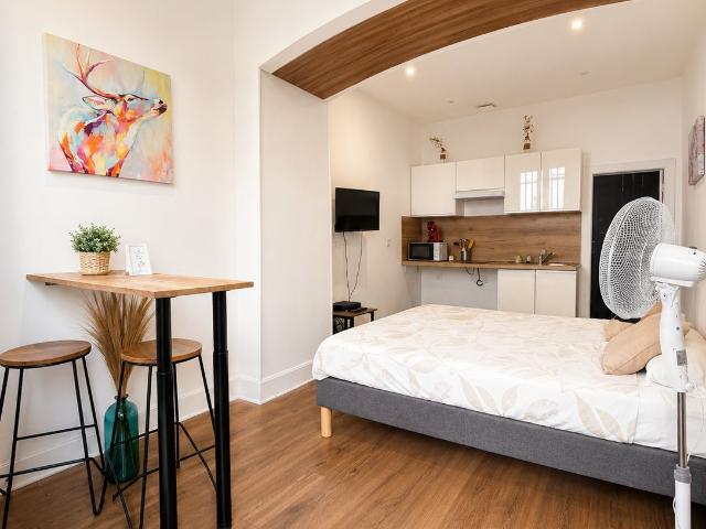 Appartement 1 pièce 19 m²