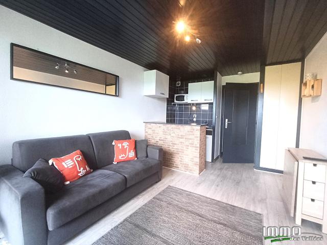 Appartement 1 pièce 19 m²