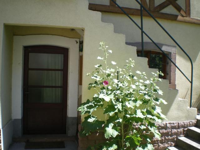 Appartement 1 pièce, 19 m² à louer à Colmar 68000