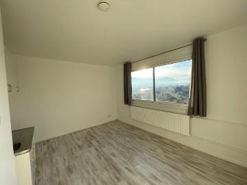 Appartement 1 pièce, 19 m² à louer à Seyssinet Pariset 38170