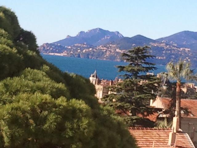 Appartement 1 pièce, 10 m² à louer à Cannes 06150