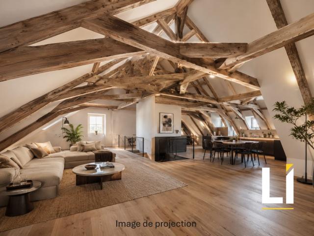 Appartement 1 pièce 111 m²