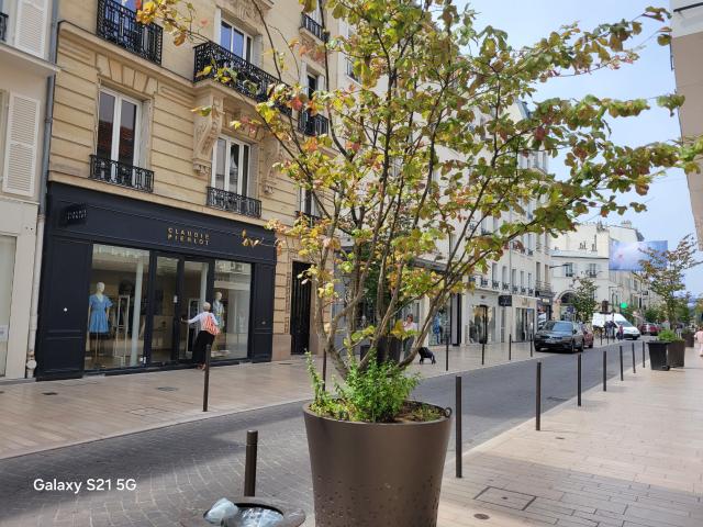 Appartement 1 pièce 11 m²
