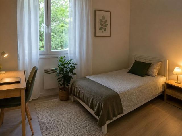 Appartement 1 pièce, 12 m² à louer à Morestel 38510
