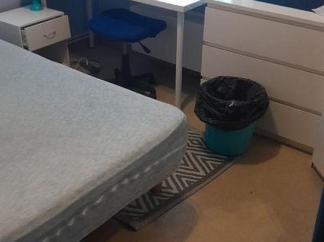 Appartement 1 pièce, 12 m² à louer à Villeurbanne 69100