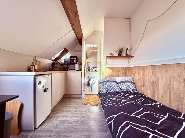 Appartement 1 pièce 13 m²