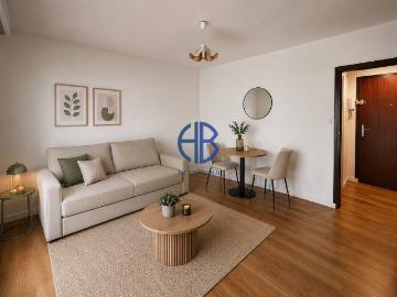 Appartement 1 pièce 24 m²