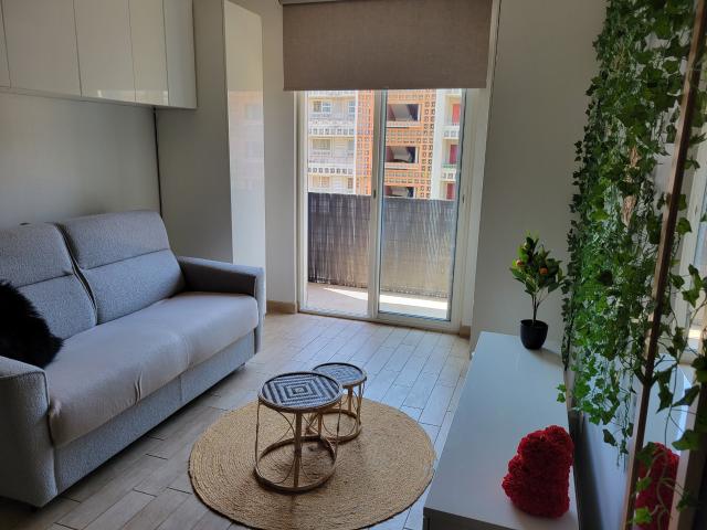 Appartement 1 pièce 24 m²