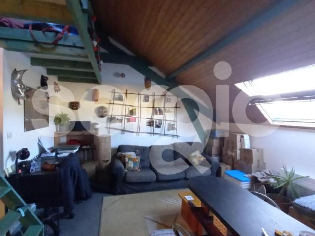 Appartement 1 pièce 24 m²