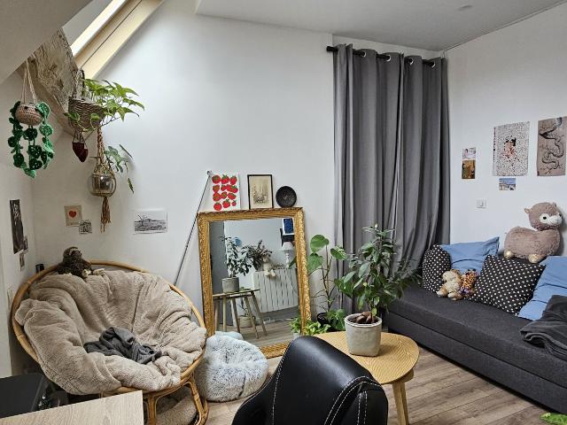 Appartement 1 pièce