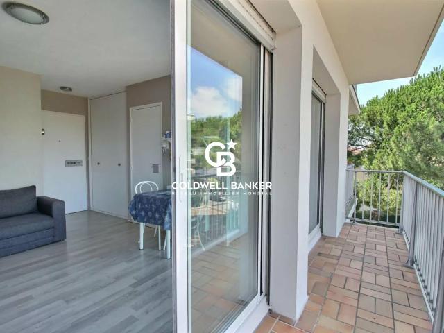 Appartement 1 pièce 24 m²