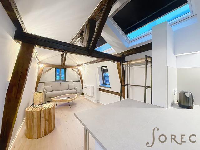 Appartement meublé 1 pièce 24 m²
