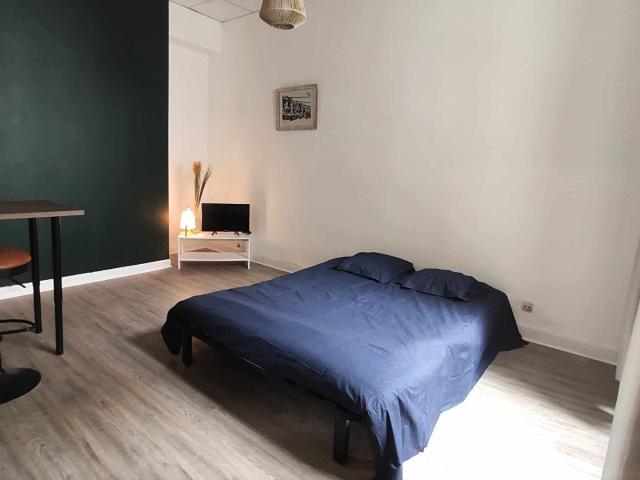 Appartement 1 pièce, 24 m² à louer à Pau 64000