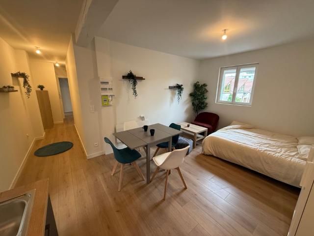 Appartement 1 pièce, 24 m² à louer à Strasbourg 67000