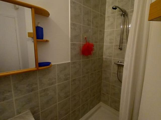 Appartement 1 pièce, 24 m² à louer à Saint Léon sur Vézère 24290