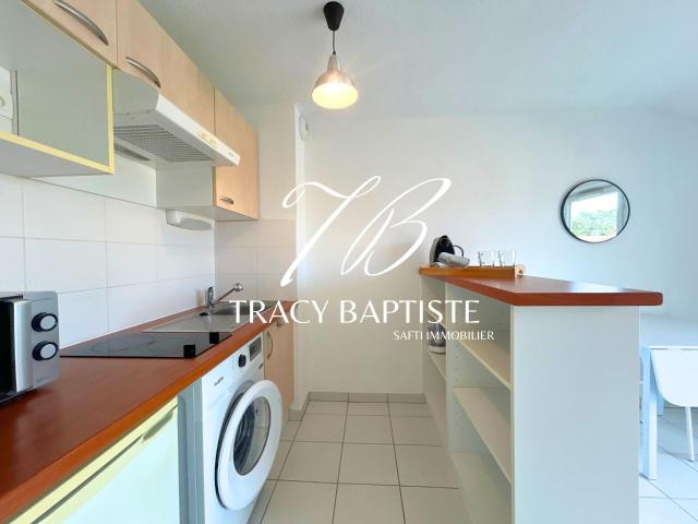 Appartement 1 pièce, 24 m² à louer à Villemur sur Tarn 31340