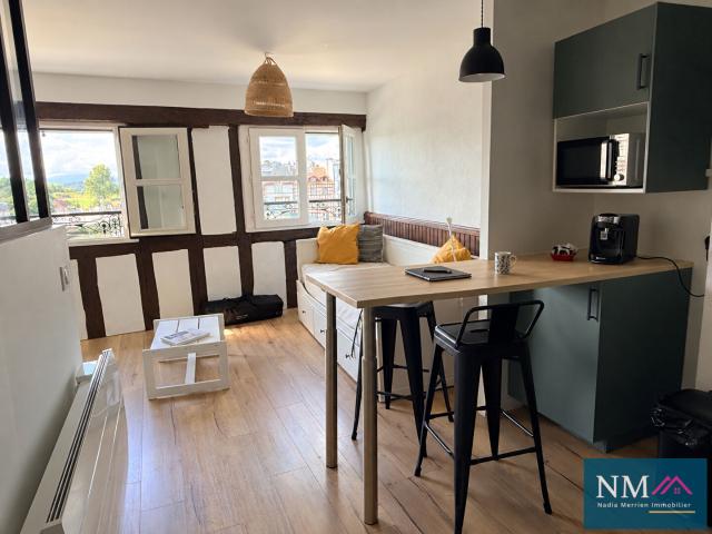Appartement 1 pièce 25 m²