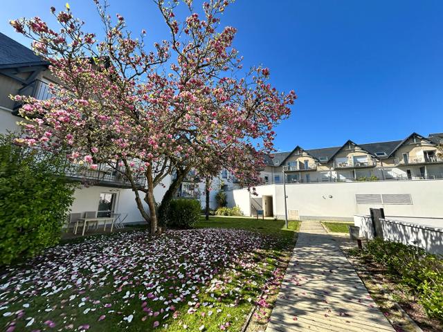Appartement 1 pièce 25 m²