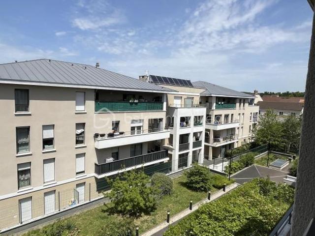Studio 25 m²