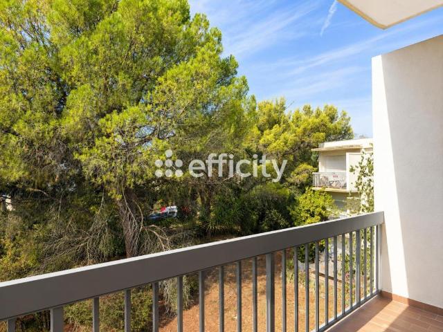 Appartement 1 pièce 25 m²