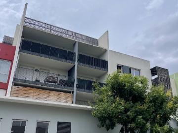 Appartement 1 pièce 25 m²