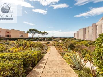 Méditerranée, La Languedocienne Montpellier, Maurin, Hérault, Languedoc-Roussillon