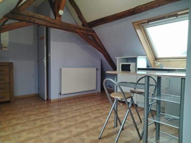 Appartement 1 pièce, 25 m² à louer à Mozé sur Louet 49610