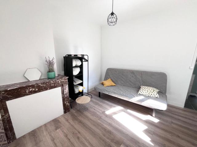 Location appartement 1 pièce 25 m² à Saint Étienne 42000