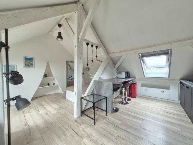 Appartement 1 pièce 52 m²