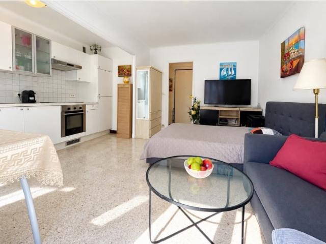 Appartement 1 pièce 26 m²