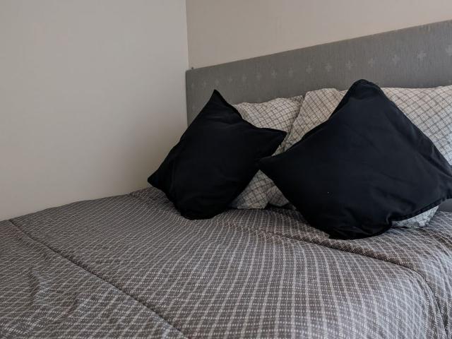 Appartement 1 pièce, 26 m² à louer à Casson 44390
