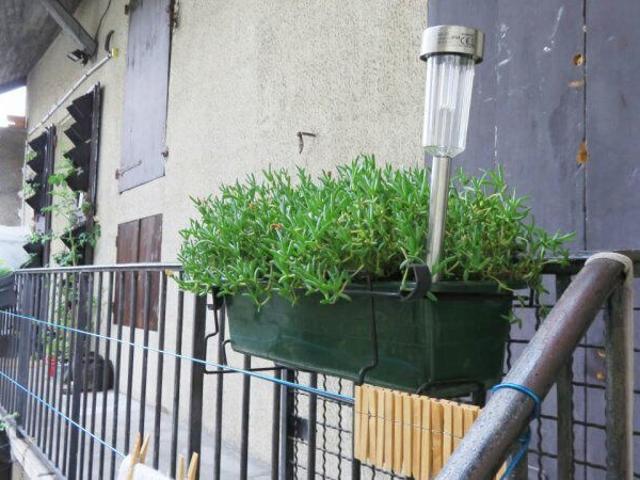 Appartement 1 pièce, 26 m² à louer à La Tronche 38700