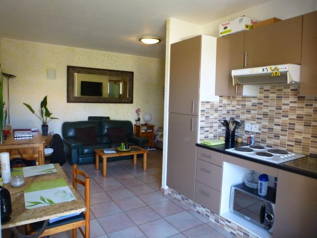 Appartement 1 pièce, 26 m² à louer à Saint Aunès 34130