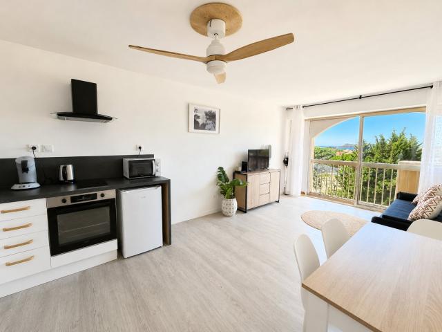 Appartement 1 pièce 29 m²
