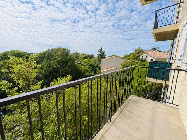 Appartement 1 pièce 29 m²