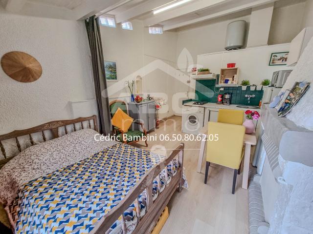 Appartement 1 pièce 20 m²