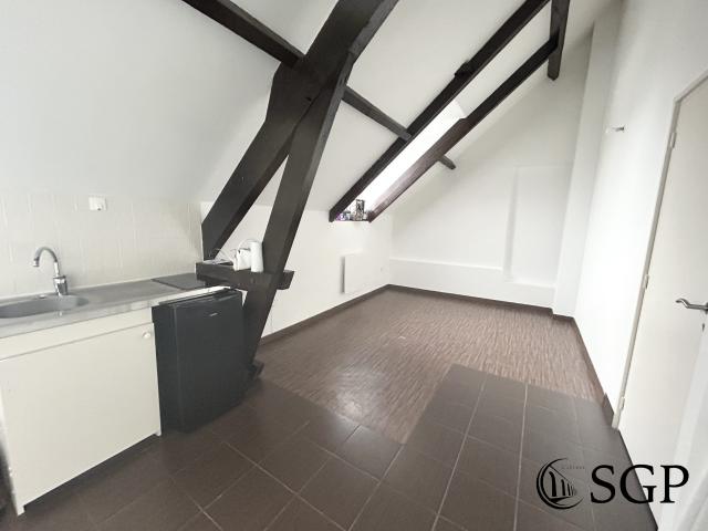 Appartement 1 pièce 20 m²
