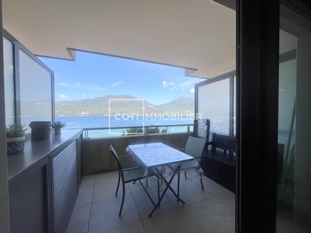 Appartement 1 pièce 20 m²