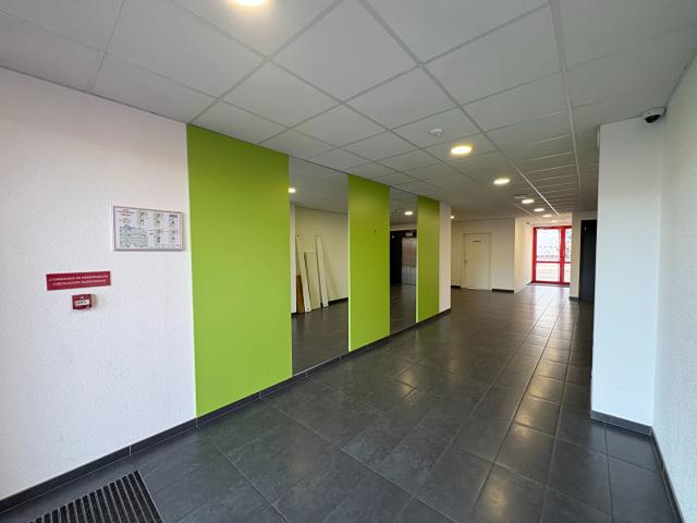Appartement 1 pièce 20 m²
